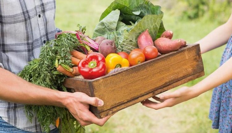 Doğal yollardan organik diyet ile zayıflama