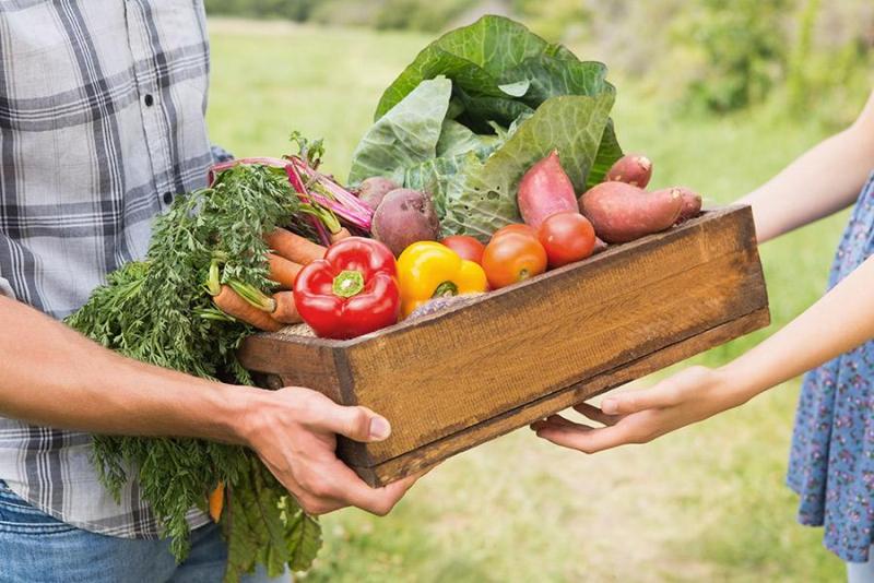Doğal yollardan organik diyet ile zayıflama